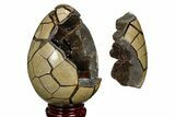 Polished Septarian Puzzle Geode - Black Crystals #177426-1